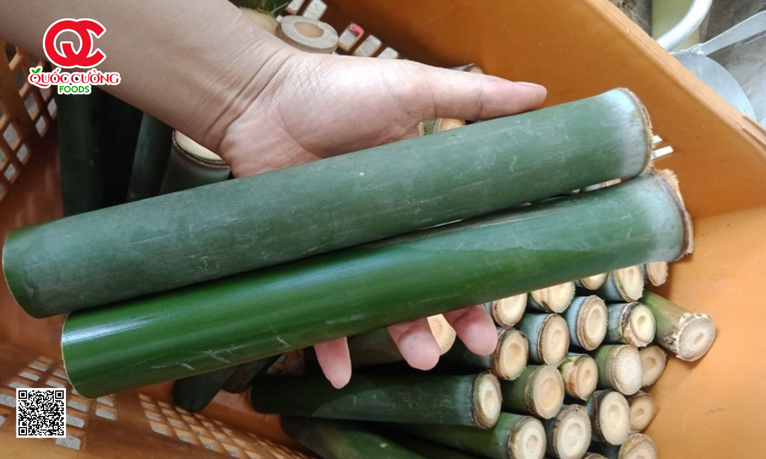 ống nứa
