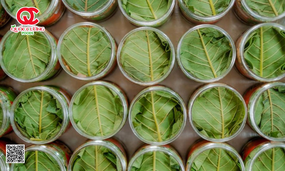 Công Dụng Của Lá Ổi Trong Sản Xuất Thịt Chua