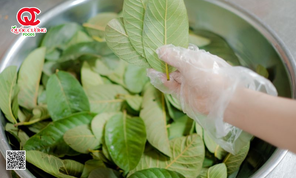 Công Dụng Của Lá Ổi Trong Sản Xuất Thịt Chua